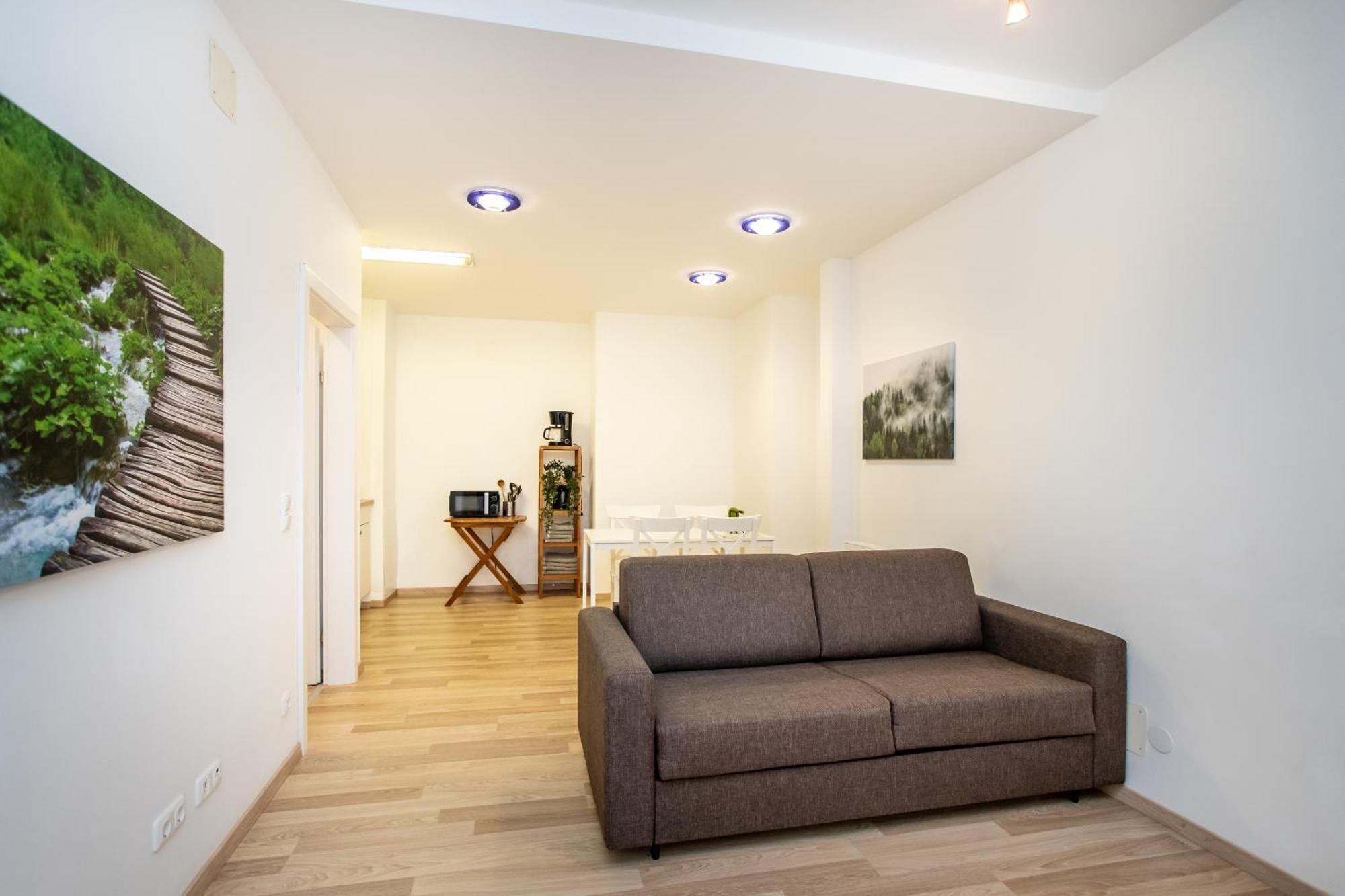 Citycenter Bad Ischl - Studio Apartments Traunkai חדר תמונה
